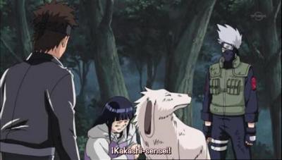 Naruto Shippuuden episodio 96
